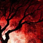 openverse 8f0b2e28 a819 448f 8f27 ac101a4d28dc