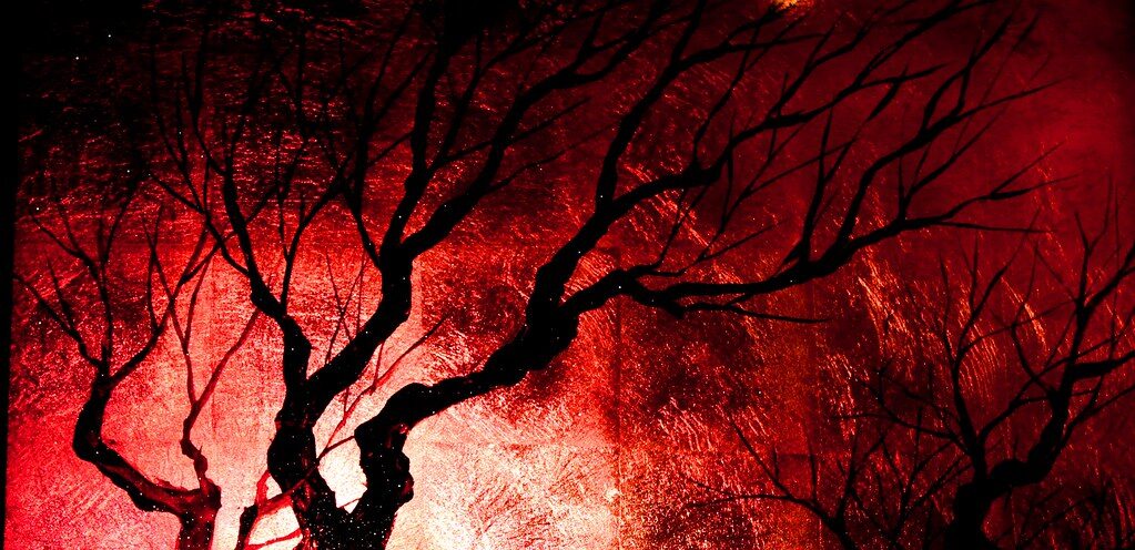 openverse 8f0b2e28 a819 448f 8f27 ac101a4d28dc