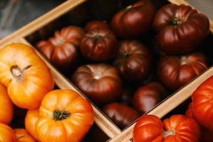 A vibrant assortment of red, yellow, and brown heirloom tomatoes in wooden crates, ideal for food photography