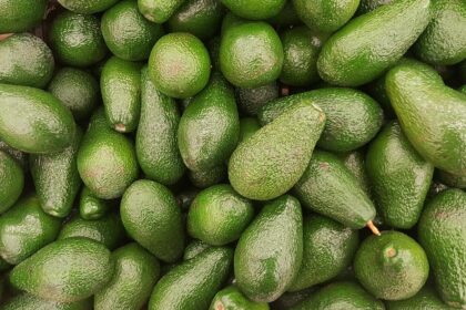 avocado, fruit, vegetarian, the fruit, avocado, avocado, avocado, avocado, avocado