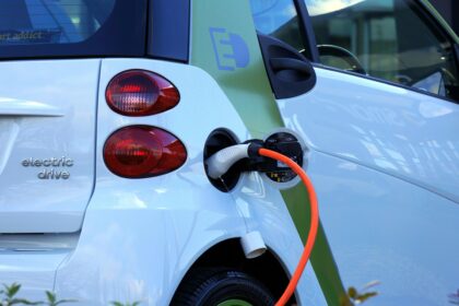 South Africa fuel petrol pump price relief diesel levy Treasury