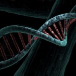 dna, biological, helix, analysis, study, genetic, deoxyribonucleic acid, dna, dna, dna, dna, dna