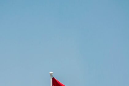 a flag on a flagpole