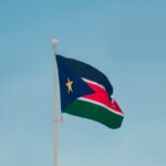 a flag on a pole
