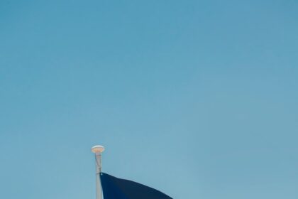 a flag on a pole