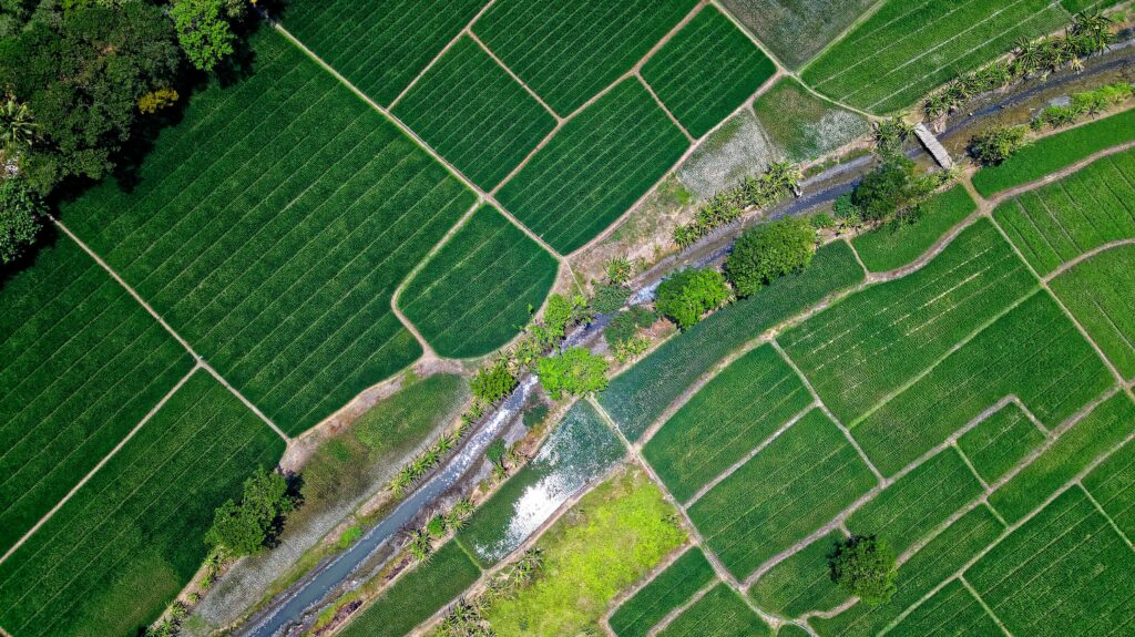 Ethiopia agriculture farming crops fertiliser industrial