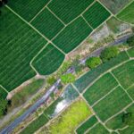 Ethiopia agriculture farming crops fertiliser industrial