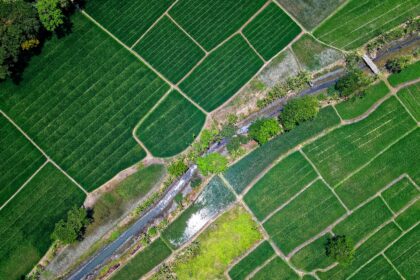 Ethiopia agriculture farming crops fertiliser industrial