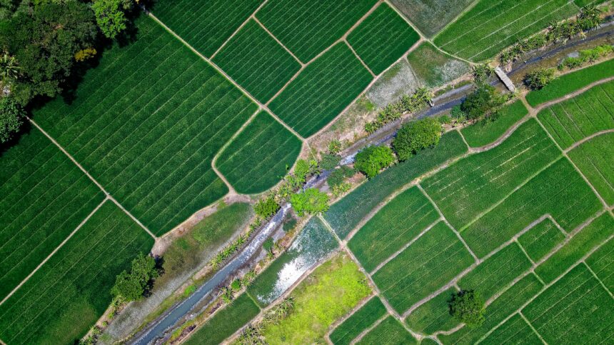 Ethiopia agriculture farming crops fertiliser industrial