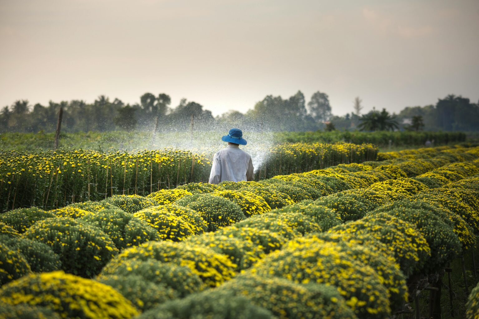 African Union food security fertiliser Hormuz agriculture summit crisis geopolitical 2026