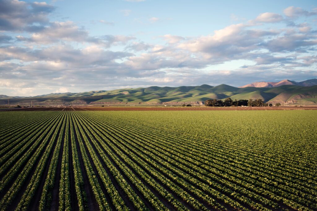 Morocco North Africa agriculture farmland crops green fields rural landscape