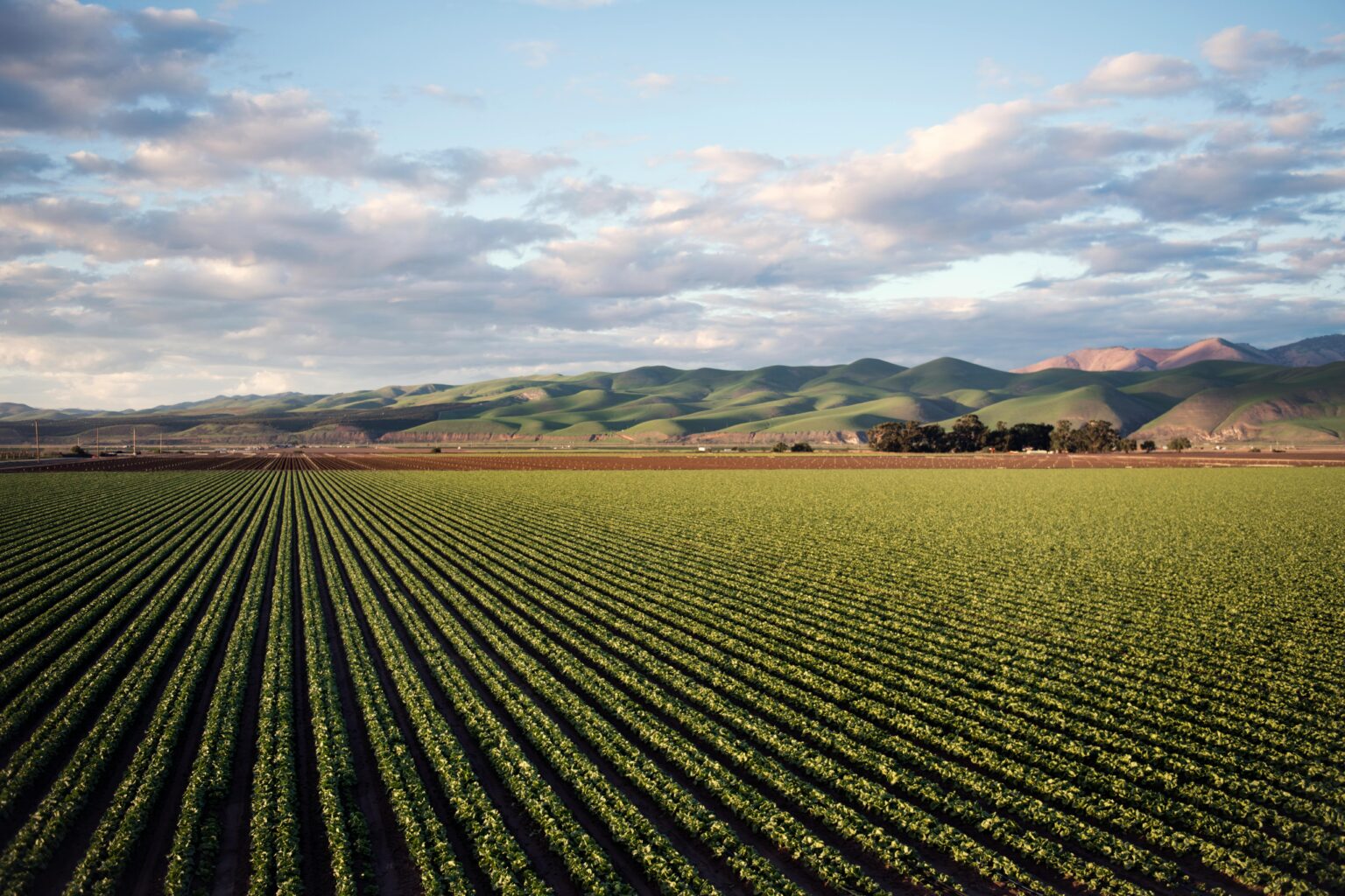 Morocco North Africa agriculture farmland crops green fields rural landscape