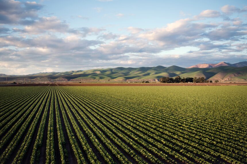 Morocco North Africa agriculture farmland crops green fields rural landscape