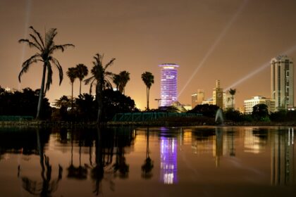 body of water near green trees during night time