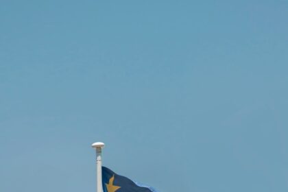 a flag on a pole