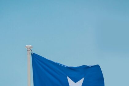 a blue flag on a pole