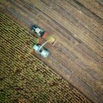 two trucks on plant field